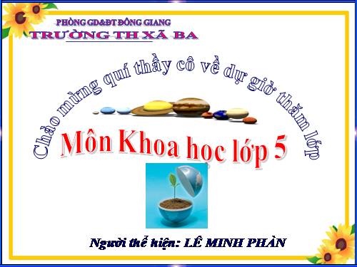 Bài 53. Cây con mọc lên từ hạt