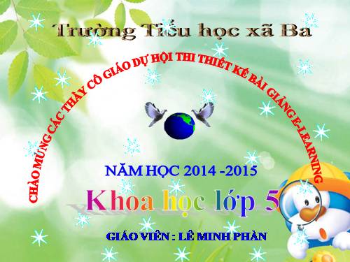 Bài 48. An toàn và tránh lãng phí khi sử dụng điện
