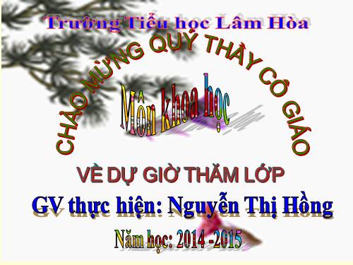 Bài 18. Phòng tránh bị xâm hại