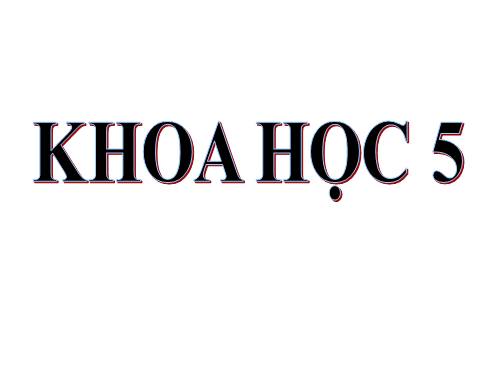 Bài 19. Phòng tránh tai nạn giao thông đường bộ