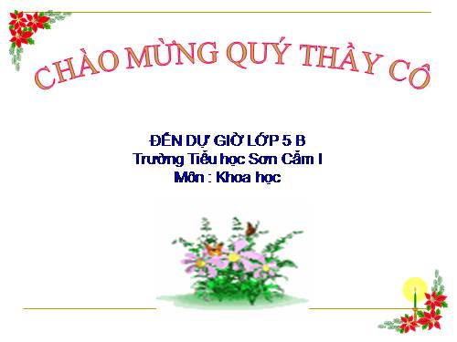 Bài 32. Tơ sợi