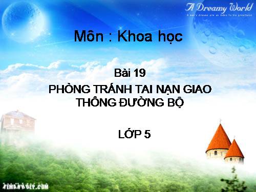 Bài 19. Phòng tránh tai nạn giao thông đường bộ