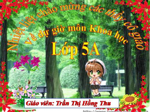 Bài 13. Phòng bệnh sốt xuất huyết