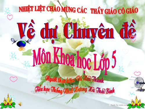 Bài 19. Phòng tránh tai nạn giao thông đường bộ