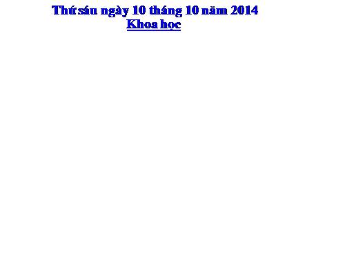 Bài 16. Phòng tránh HIV / AIDS