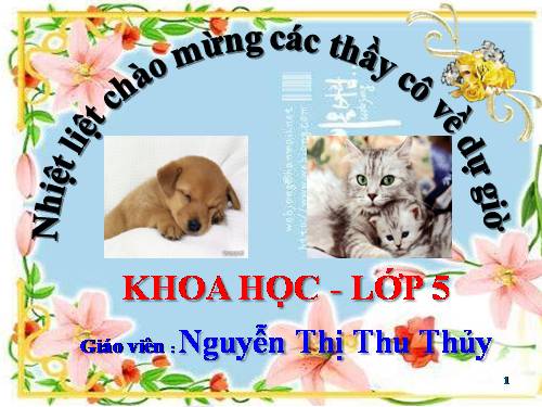 Bài 59. Sự sinh sản của thú