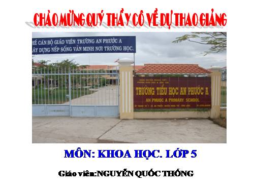 Bài 13. Phòng bệnh sốt xuất huyết