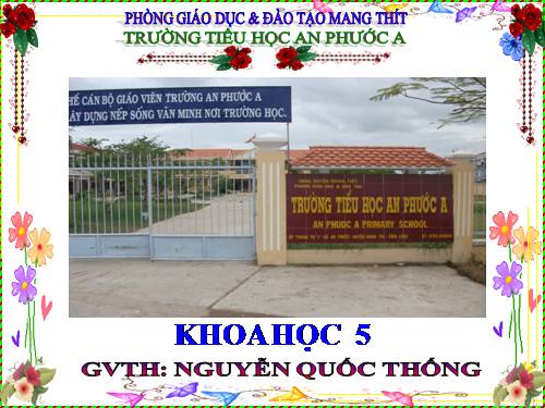 Bài 51. Cơ quan sinh sản của thực vật có hoa