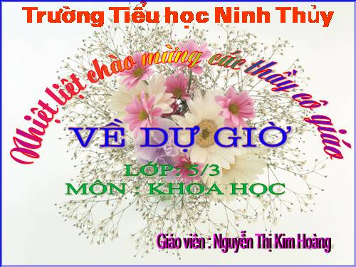 Bài 15. Phòng bệnh viêm gan A