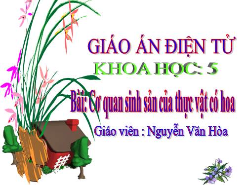 Bài 52. Sự sinh sản của thực vật có hoa