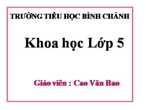 Bài 4. Cơ thể chúng ta được hình thành như thế nào?