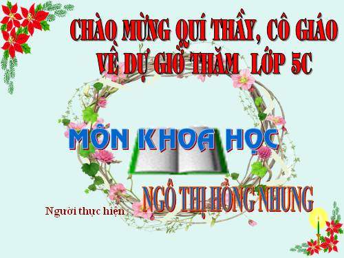 Bài 13. Phòng bệnh sốt xuất huyết