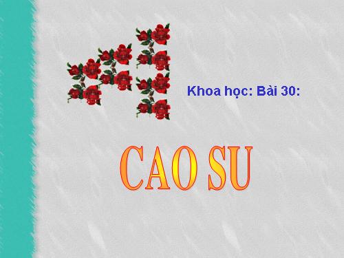 Bài 30. Cao su