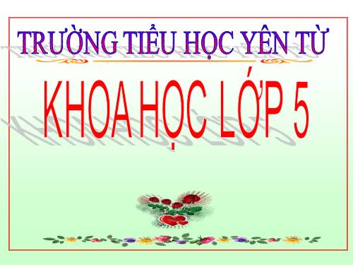 Bài 19. Phòng tránh tai nạn giao thông đường bộ