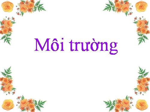 Bài 62. Môi trường