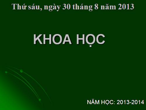 Bài 4. Cơ thể chúng ta được hình thành như thế nào?