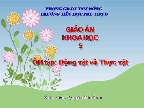 Bài 61. Ôn tập: Thực vật và động vật