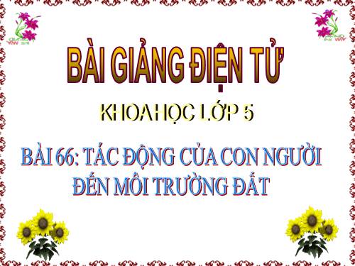 Bài 66. Tác động của con người đến môi trường đất