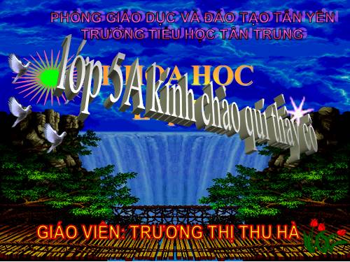 Bài 32. Tơ sợi