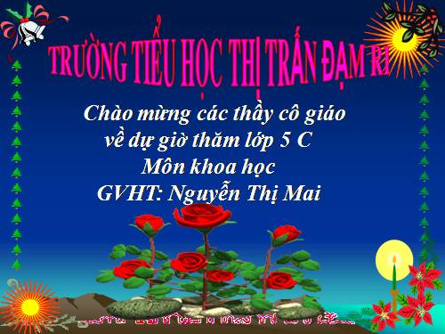 Bài 55. Sự sinh sản của động vật