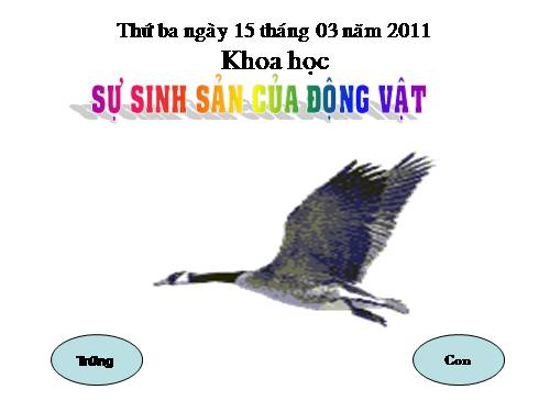 Bài 55. Sự sinh sản của động vật