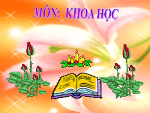 Bài 54. Cây con có thể mọc lên từ một số bộ phận của cây mẹ