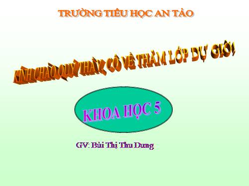 Bài 19. Phòng tránh tai nạn giao thông đường bộ