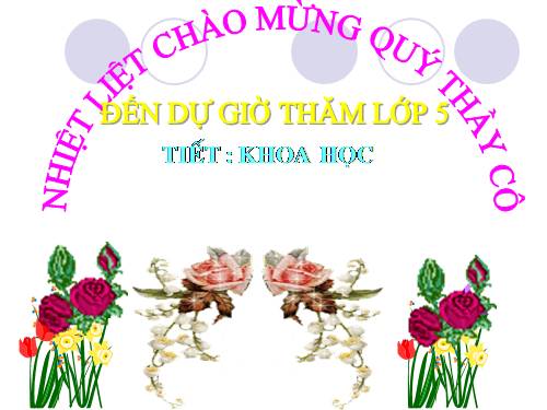 Bài 13. Phòng bệnh sốt xuất huyết