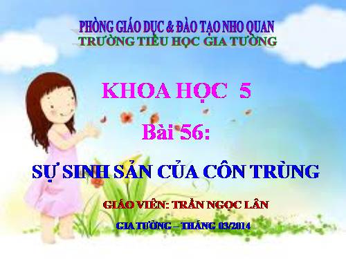 Bài 56. Sự sinh sản của côn trùng