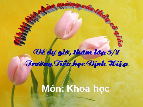 Bài 46-47. Lắp mạch điện đơn giản