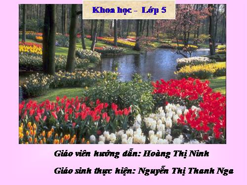 Bài 51. Cơ quan sinh sản của thực vật có hoa