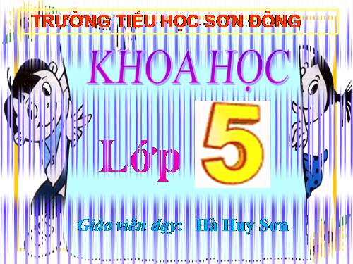 Bài 52. Sự sinh sản của thực vật có hoa
