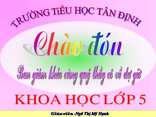 Bài 54. Cây con có thể mọc lên từ một số bộ phận của cây mẹ