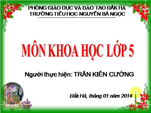 Bài 40. Năng lượng