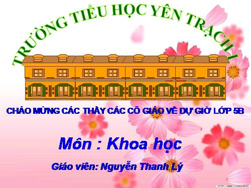 Bài 44. Sử dụng năng lượng gió và năng lượng nước chảy