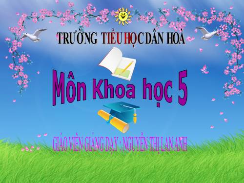 Bài 15. Phòng bệnh viêm gan A