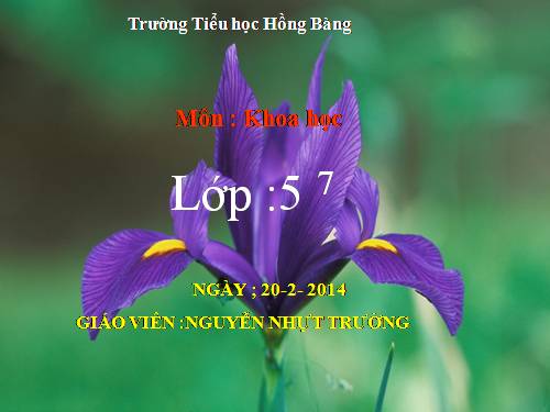 Bài 45. Sử dụng năng lượng điện