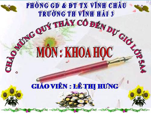 Bài 48. An toàn và tránh lãng phí khi sử dụng điện