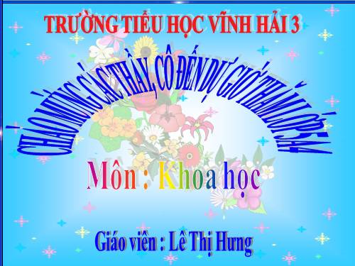 Bài 40. Năng lượng