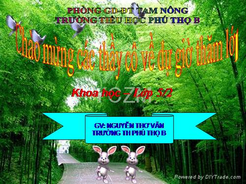 Bài 62. Môi trường