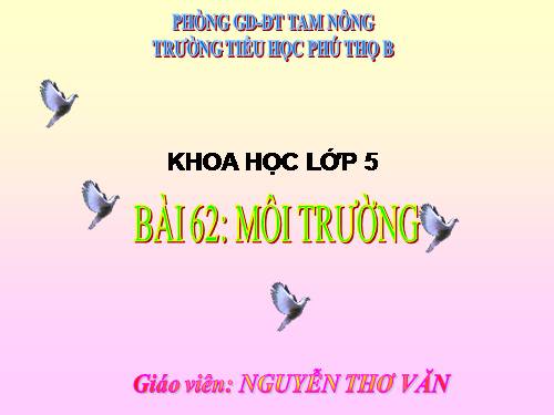 Bài 62. Môi trường