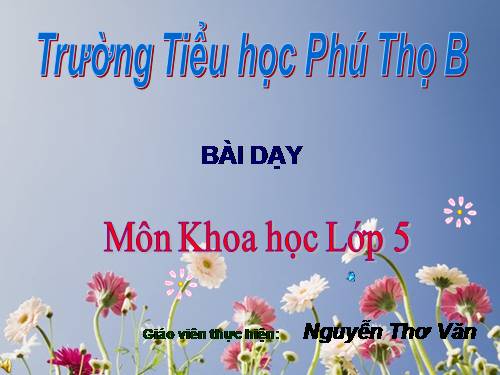 Bài 19. Phòng tránh tai nạn giao thông đường bộ