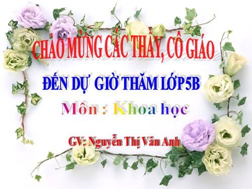 Bài 31. Chất dẻo