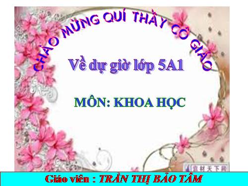 Bài 31. Chất dẻo