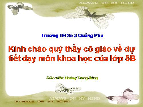 Bài 18. Phòng tránh bị xâm hại