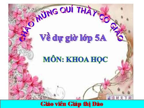 Bài 31. Chất dẻo