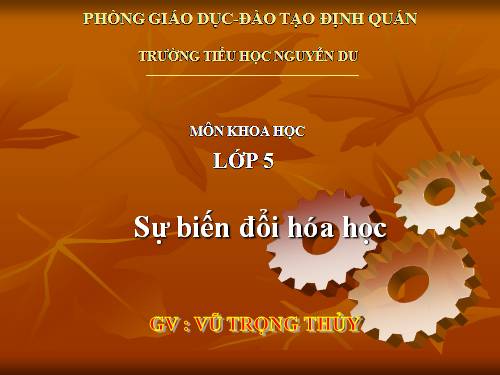 Bài 38-39. Sự biến đổi hóa học