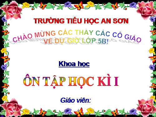 Bài 33-34. Ôn tập và Kiểm tra học kì I