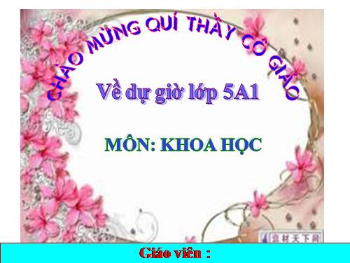 Bài 31. Chất dẻo