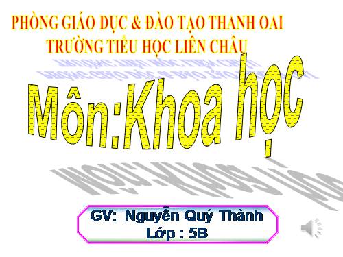 Bài 19. Phòng tránh tai nạn giao thông đường bộ